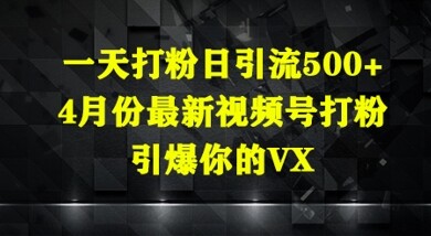一天打粉日引流500+，4月份最新视频号打粉，引爆你的微信-自由仓库