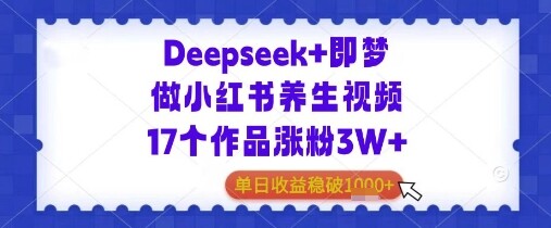 Deepseek+即梦做小红书养生视频17个作品涨粉3W+单日收益几张-自由仓库