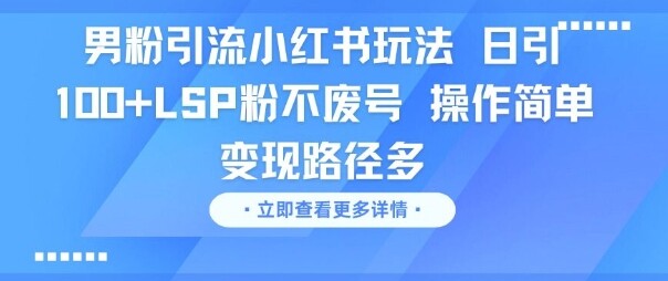 男粉引流小红书玩法，日引100+LSP粉不废号，操作简单，变现路径多-自由仓库
