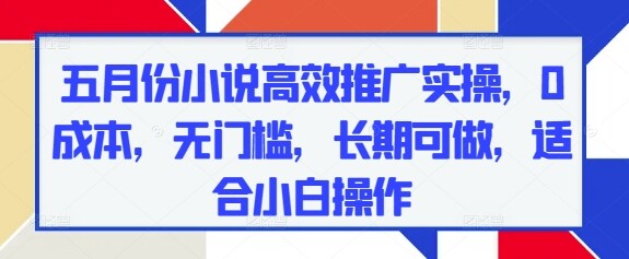 五月份小说高效推广实操，0成本，无门槛，长期可做，适合小白操作-自由仓库