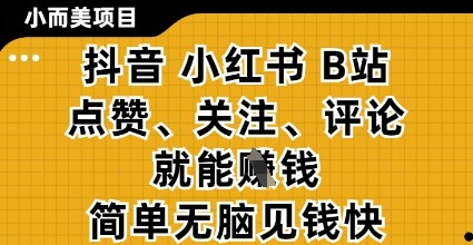小而美的项目，抖音小红书B站视频点赞、关注、评论就能挣钱，简单无脑立见收益，妥妥的零撸项目【揭秘】-自由仓库