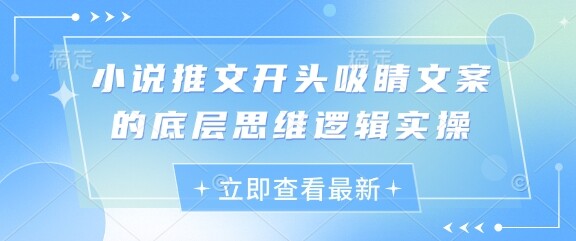 小说推文开头吸睛文案的底层思维逻辑实操-自由仓库