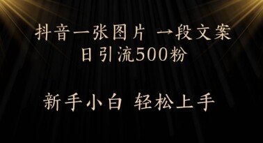 每天2分钟，抖音一张图片 一段文案日引流500粉-自由仓库