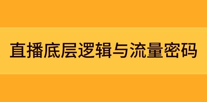 （14695期）直播底层逻辑与流量密码：定位模型+案例拆解，急速流承接与数据优化全攻略-自由仓库