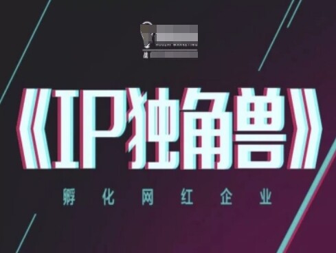 IP独角兽，孵化网红企业，ip教程-自由仓库