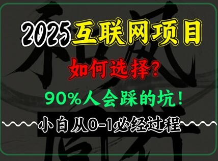 2025年互联网项目搞钱方法论，全是干货，肺腑之言，新手从0-1必经过程，边看边实操-自由仓库