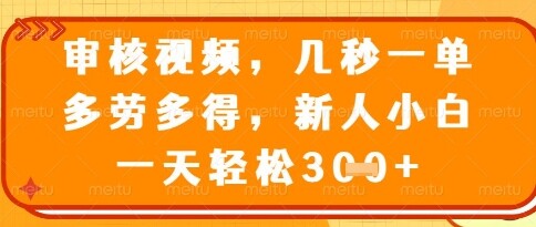 视频审核员，几秒一单，不限时间，不限地点，多做多得，新人小白一天轻松几张+【揭秘】-自由仓库