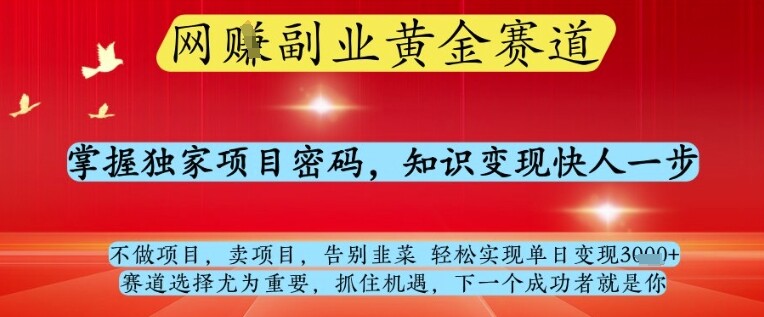 网创副业黄全赛道，掌握独家项目密码，知识变现快人一步，告别韭菜轻松实现单日变现1k+【揭秘】-自由仓库