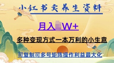 在小红书上卖养生资料，月入1w+，多种变现方式一本万利的小生意-自由仓库