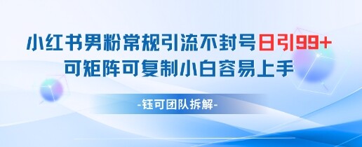 小红书男粉常规引流不封号日引99+变现简单 可矩阵可复制小白容易上手-自由仓库