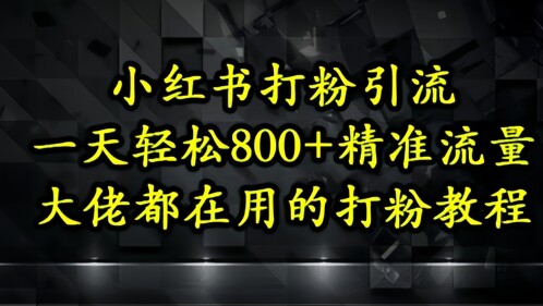 小红书打粉引流，一天轻松500+精准流量，大佬都在用的打粉教程-自由仓库