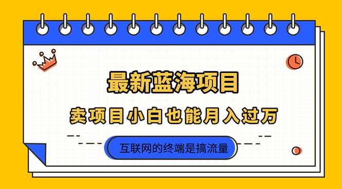 （14289期）2025年最新蓝海项目，卖项目小白也能月入过万-自由仓库
