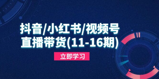 （14611期）抖音/小红书/视频号/直播带货(11-16期)，快速掌握平台规则，打造爆款内容-自由仓库