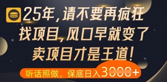 什么？25年你还在疯狂找项目做，醒醒吧，看完这些你全都懂了【揭秘】-自由仓库