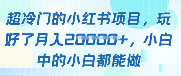超冷门的小红书项目，玩好了月入过1w，小白中的小白都能做-自由仓库