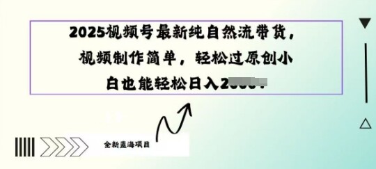 2025视频号最新纯自然流带货， 视频制作简单，轻松过原创小 白也能轻松操作-自由仓库
