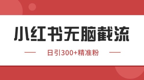小红书只要你有同行就能获客，独家野路子获客玩法，暴力截流【揭秘】-自由仓库