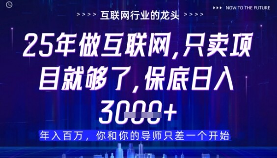 什么！25年你还在找项目做？风口早就变了，卖项目才是稳挣不赔【揭秘】-自由仓库