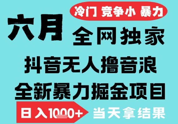 2025年6月高爆抖音无人直播最新撸音浪掘金项目，无脑日入1k+，低门槛小白可做，可矩阵放大【揭秘】-自由仓库