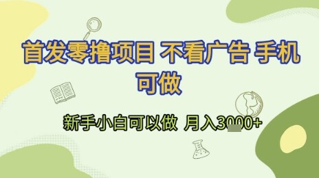 首发零撸项目 不看广告 手机可做 新手小白可以做  月入3k+【揭秘】-自由仓库