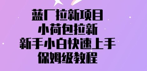 蓝厂拉新项目，小荷包拉新，新手小白快速上手，保姆级教程-自由仓库