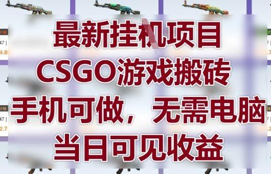 最新挂G项目，CSGO游戏搬砖，手机可做，无需电脑，当日见收益【揭秘】-自由仓库