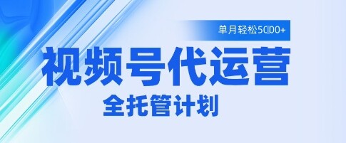 视频号代运营2.0，全程托管招募，单月轻松变现5k【揭秘】-自由仓库