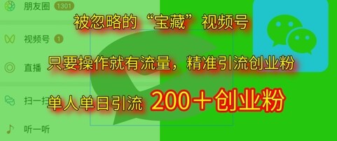 被忽略的“宝藏”视频号引流精准创业粉单人单日引流200+精准粉-自由仓库