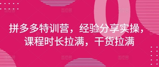 拼多多特训营，经验分享实操，课程时长拉满，干货拉满(更新25年4月)-自由仓库